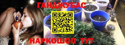 прущие грибы Балашиха