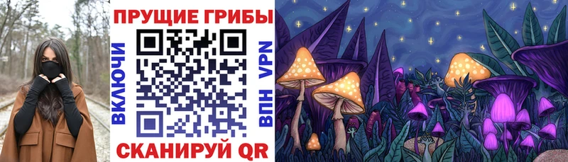 Псилоцибиновые грибы мицелий  darknet официальный сайт  Пермь  где продают  