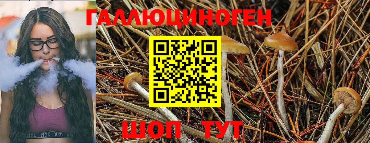 Псилоцибиновые грибы Magic Shrooms Пермь